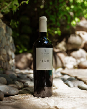 3TINTO Veneto IGT