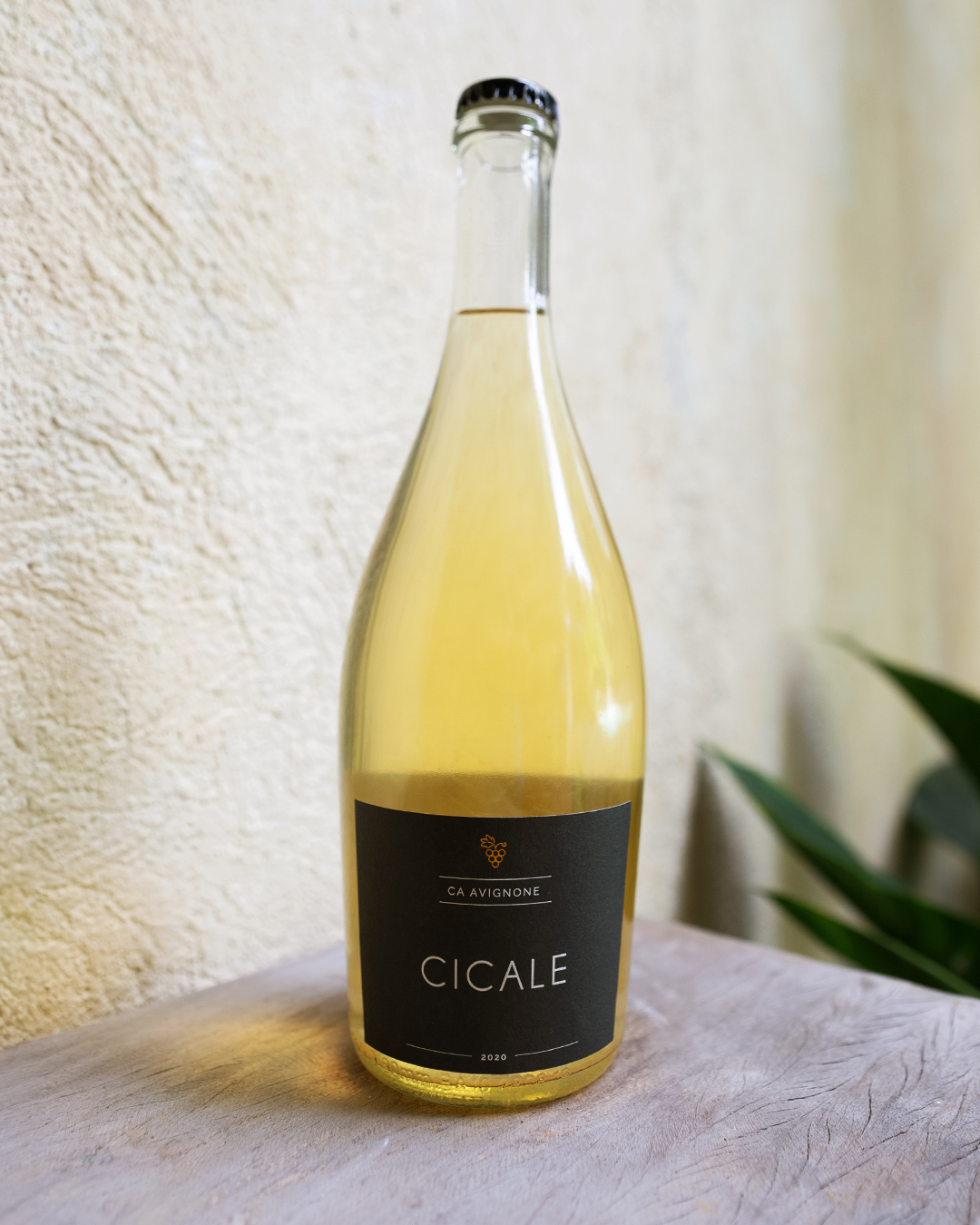 Cicale Orange Winte Veneto IGT